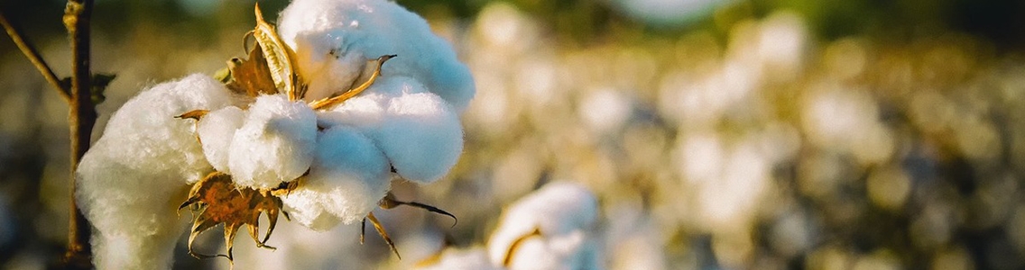 Textile éco responsable